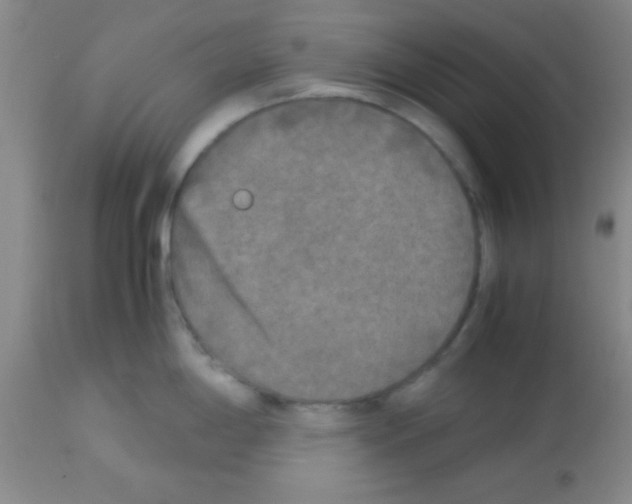 X0000113141198200910161148