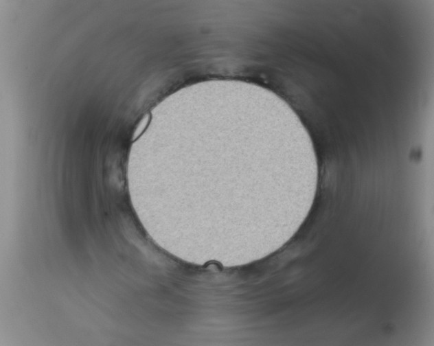X0000113141202200910161148
