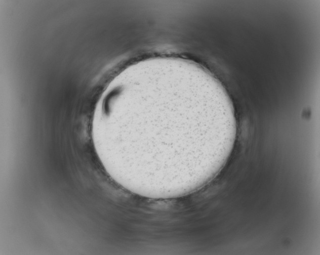 X0000113141205200910161148