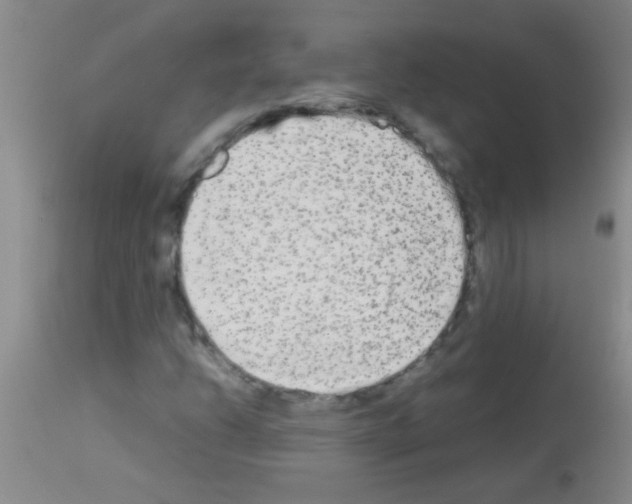 X0000113141206200910161148