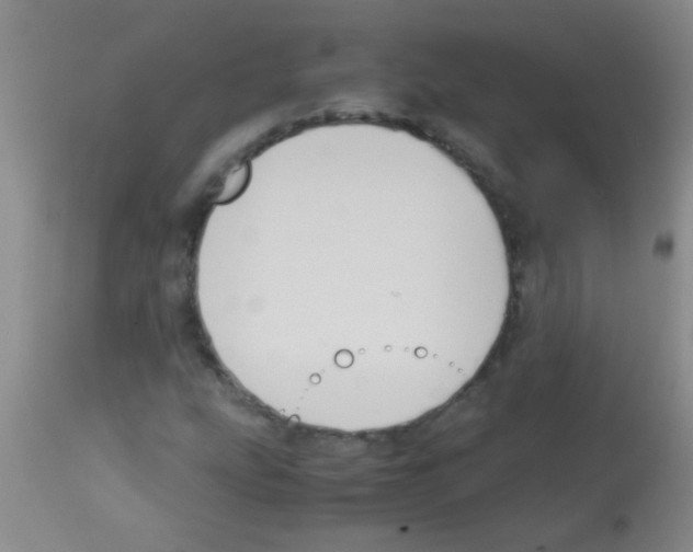 X0000113141207200910161148