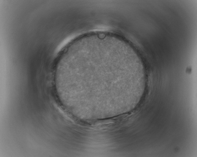 X0000113141208200910161148