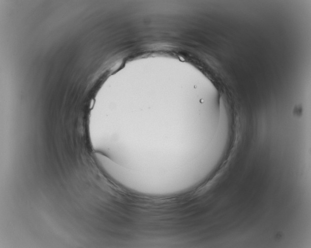 X0000113141209200910161148
