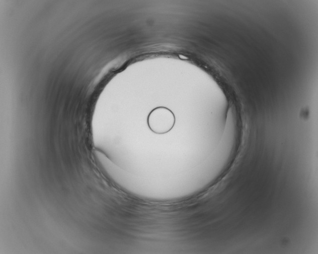 X0000113141210200910161148