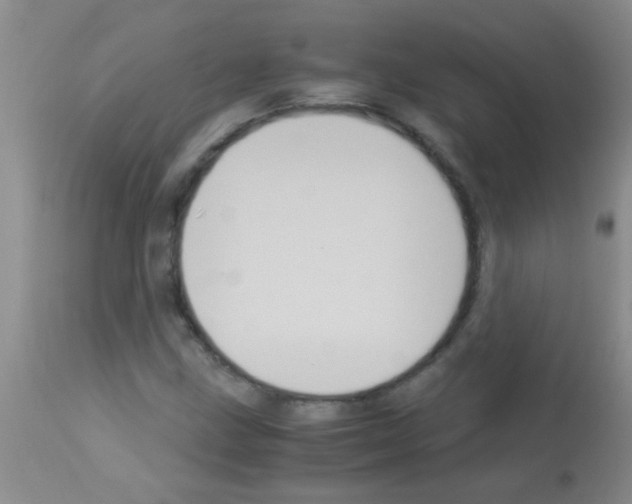 X0000113141211200910161148