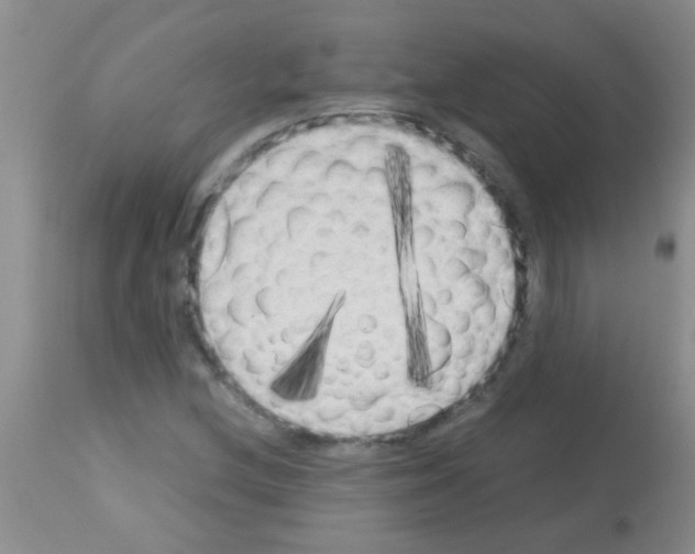 X0000113141212200910161148