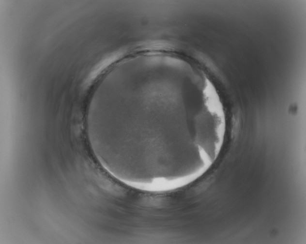 X0000113141213200910161148