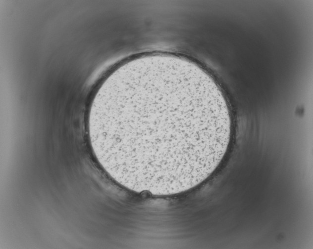 X0000113141214200910161148