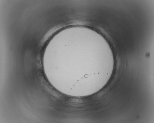 X0000113141215200910161148