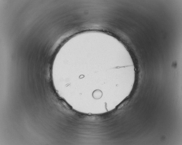 X0000113141218200910161148
