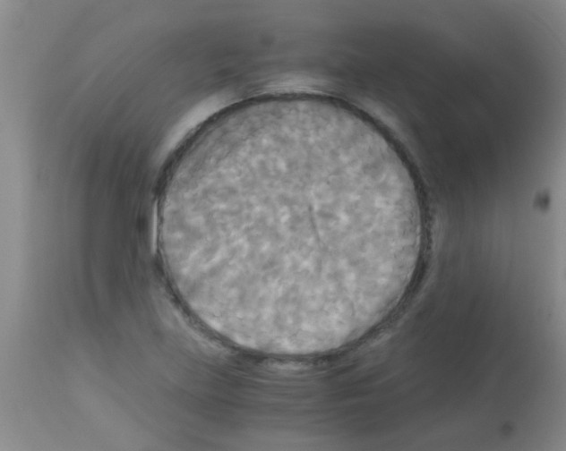 X0000113141219200910161148