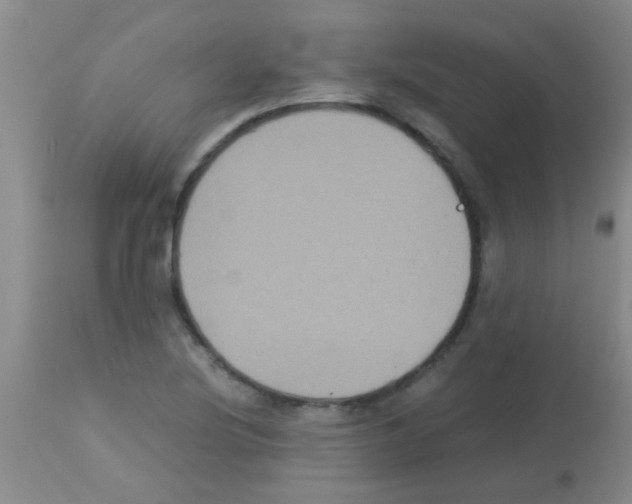 X0000113141220200910161148