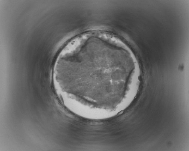 X0000113141221200910161148