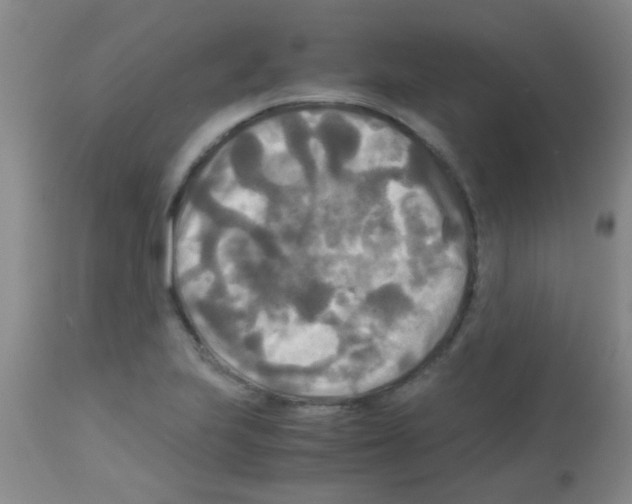 X0000113141223200910161148