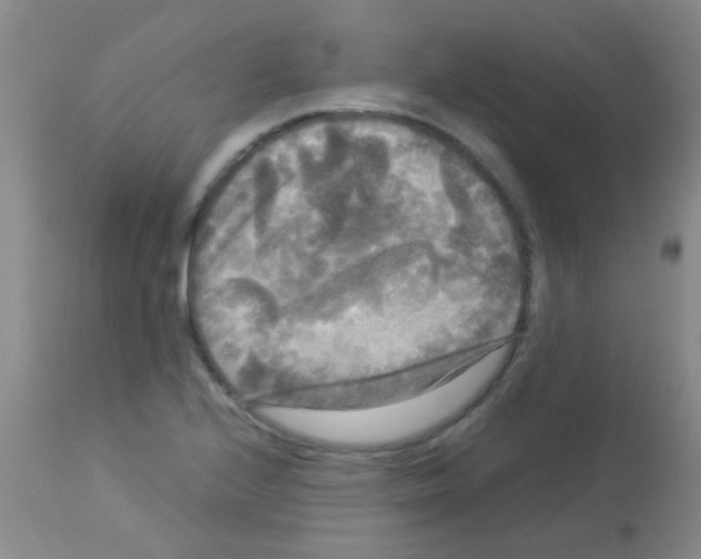 X0000113141224200910161148