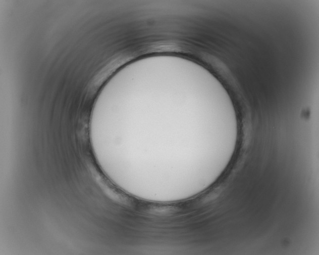 X0000113141225200910161148