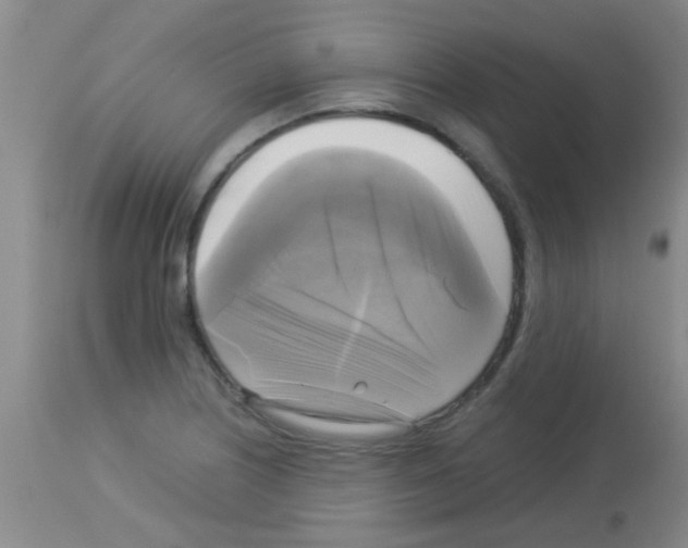 X0000113141226200910161148