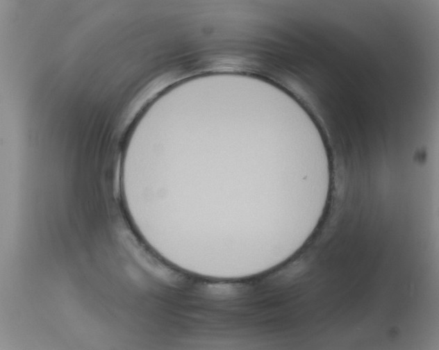 X0000113141227200910161148