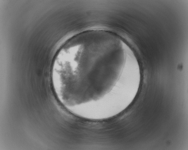 X0000113141229200910161148