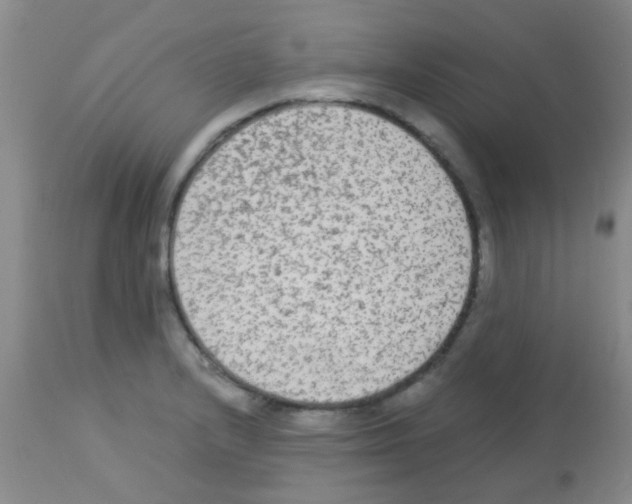 X0000113141232200910161148