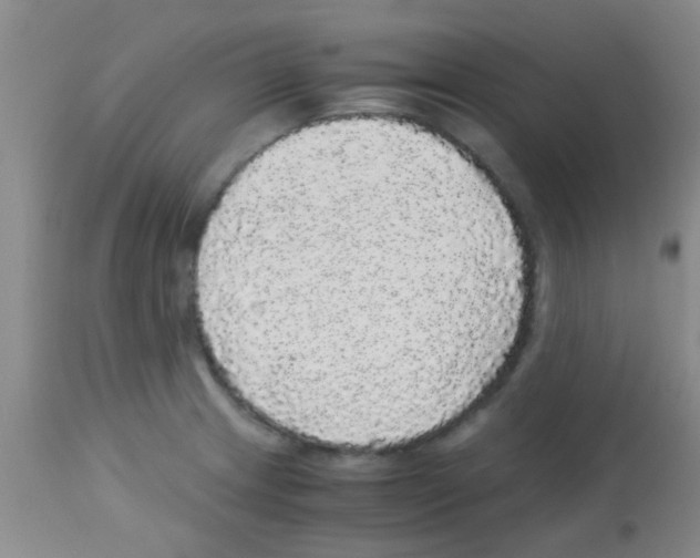 X0000113141233200910161148