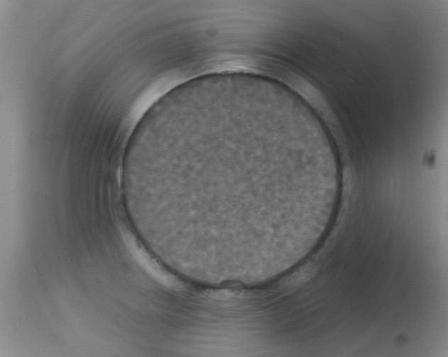 X0000113141234200910161148