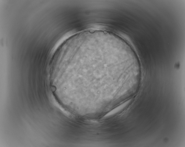X0000113141235200910161148