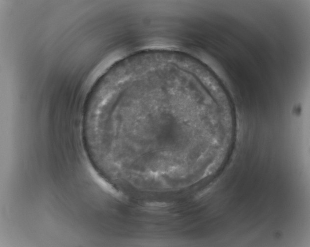 X0000113141237200910161148