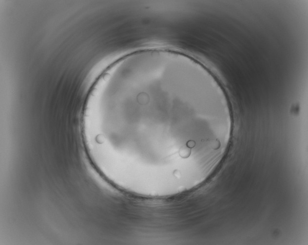 X0000113141239200910161148