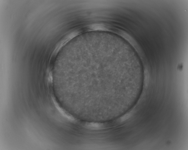 X0000113141241200910161148
