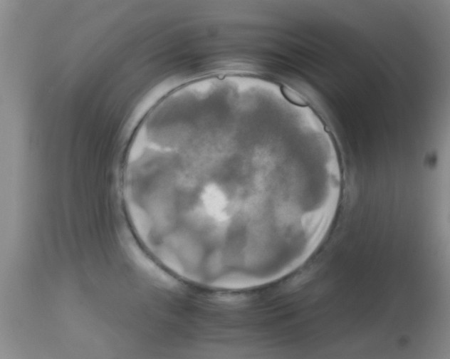 X0000113141243200910161148
