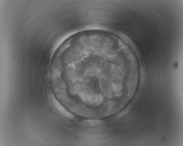 X0000113141244200910161148