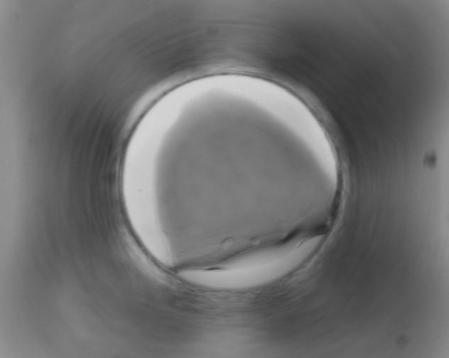 X0000113141246200910161148