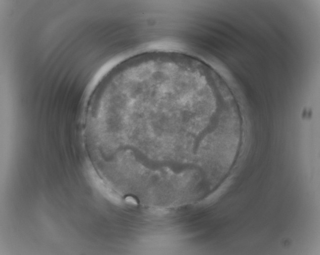 X0000113141248200910161148