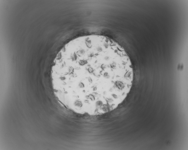 X0000113141249200910161148