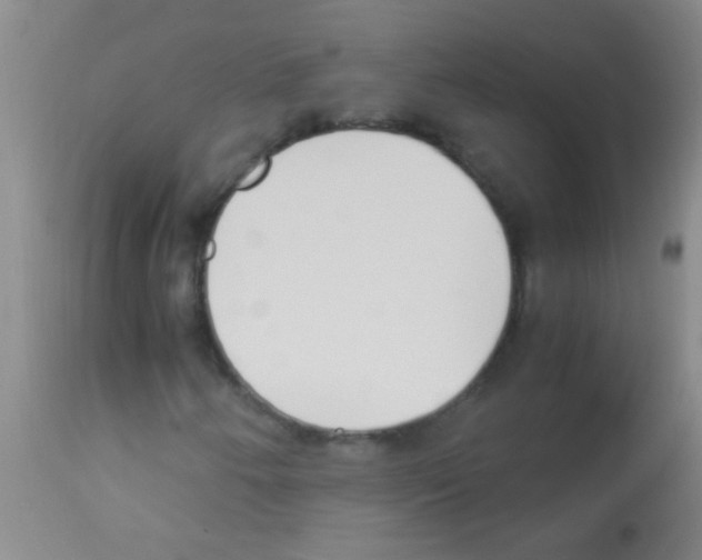 X0000113141250200910161148