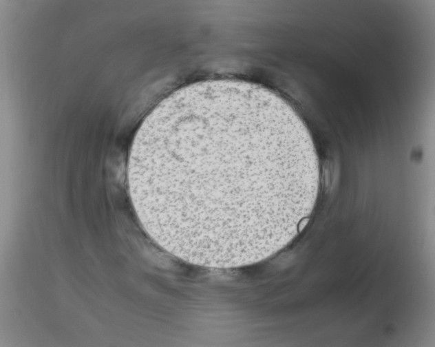 X0000113141251200910161148