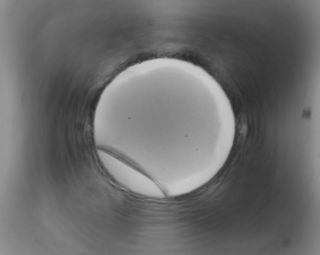 X0000113141252200910161148