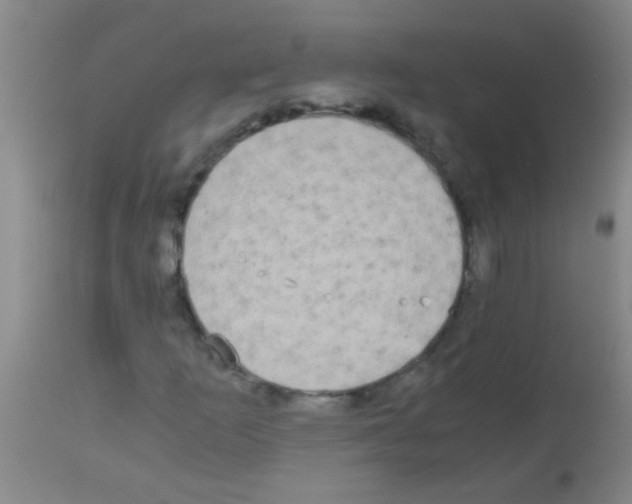 X0000113141253200910161148