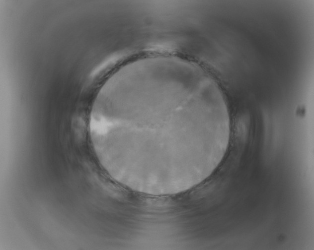 X0000113141254200910161148