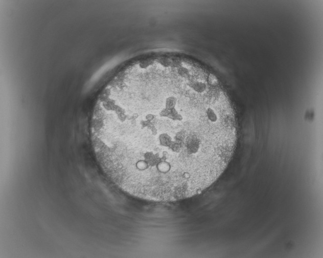 X0000113141255200910161148