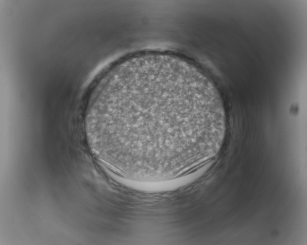 X0000113141256200910161147