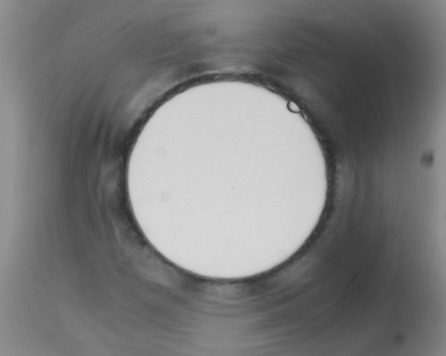 X0000113141257200910161147