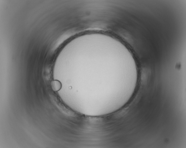 X0000113141258200910161147