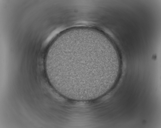 X0000113141259200910161147