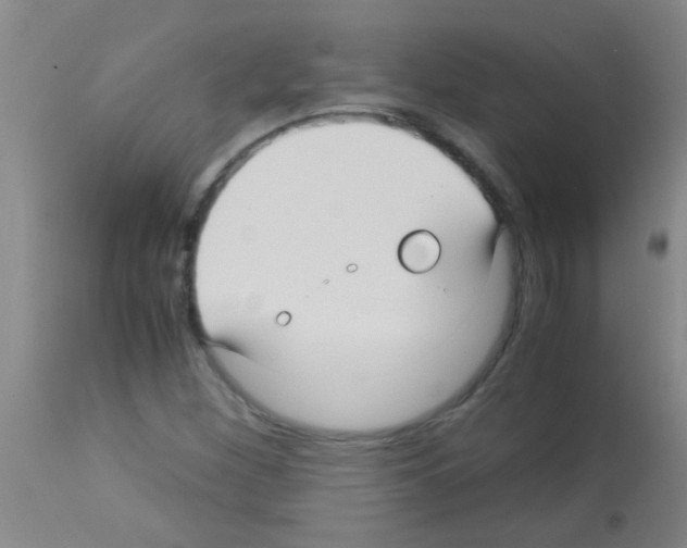 X0000113141260200910161147