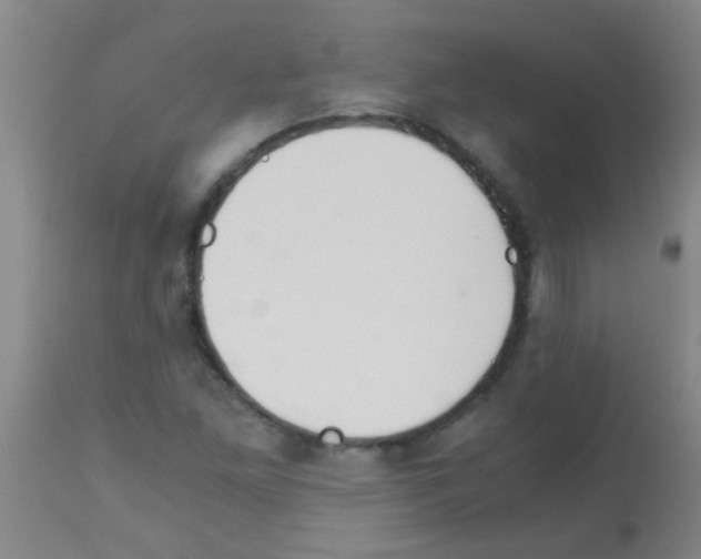 X0000113141261200910161147