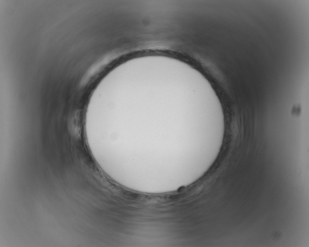 X0000113141262200910161147
