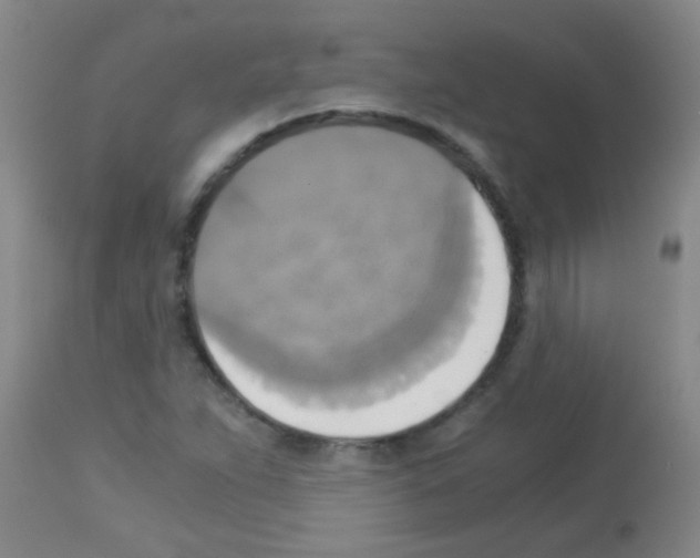 X0000113141263200910161147