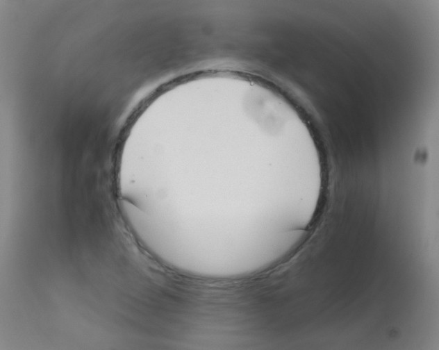 X0000113141264200910161147